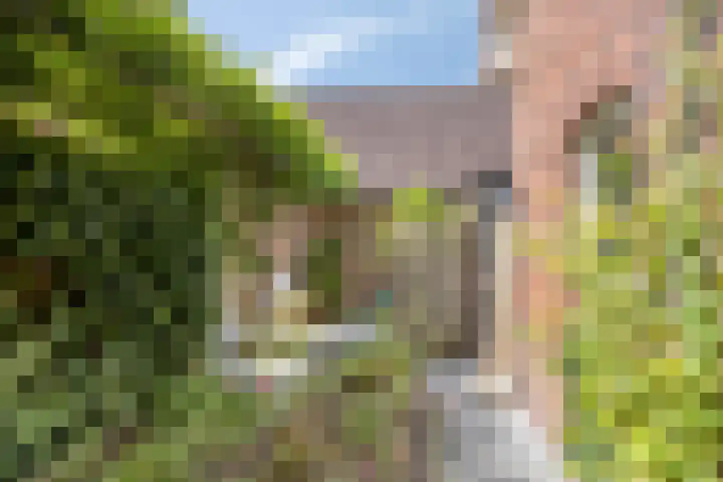 Hummeloseweg 36 Zelhem thumbnail 37