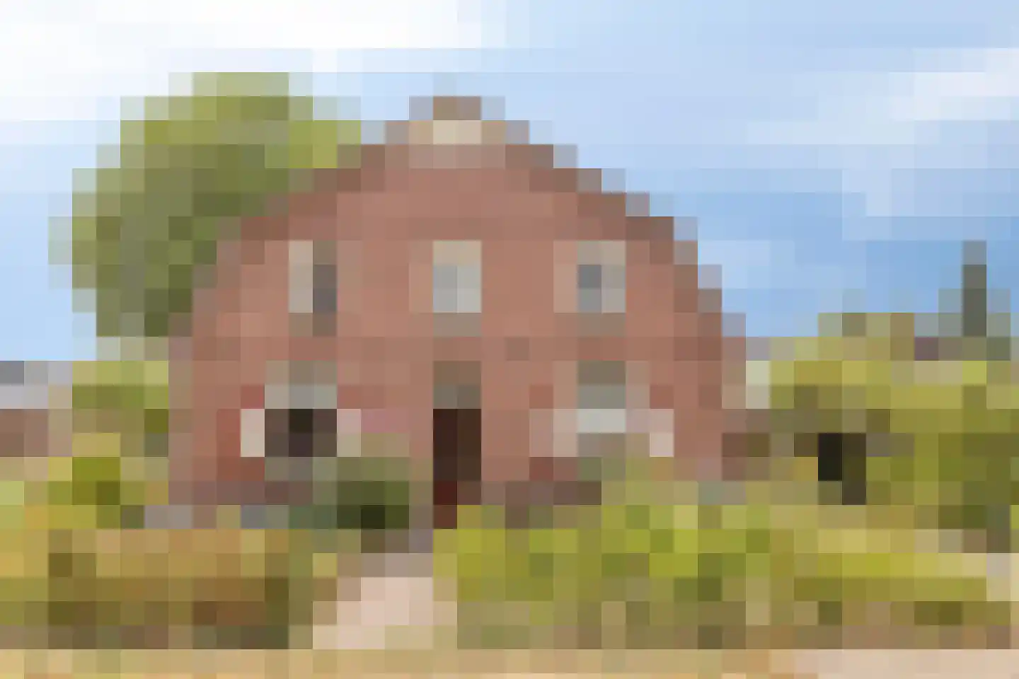 Hummeloseweg 36 Zelhem thumbnail 4