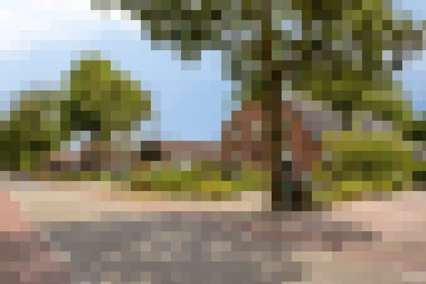 Hummeloseweg 36 Zelhem thumbnail 48