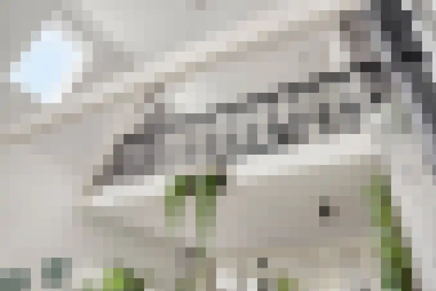 Hummeloseweg 36 Zelhem thumbnail 8