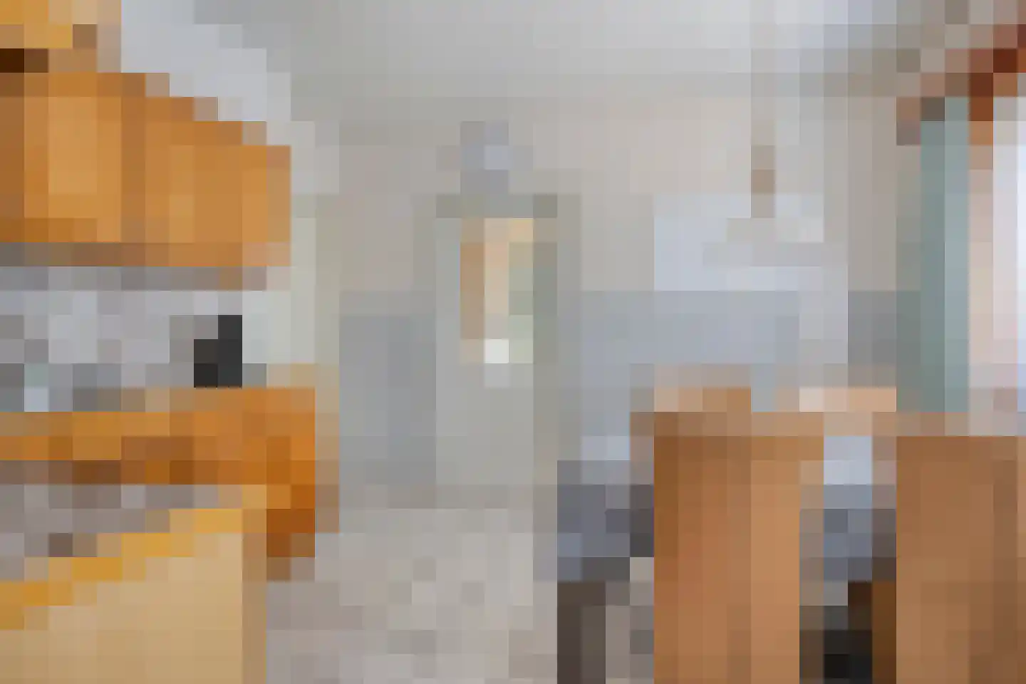 Hummelstraat 1 Sas van Gent thumbnail 10