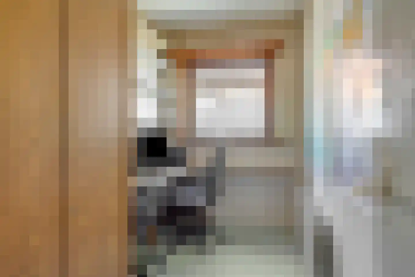 Hummelstraat 1 Sas van Gent thumbnail 19