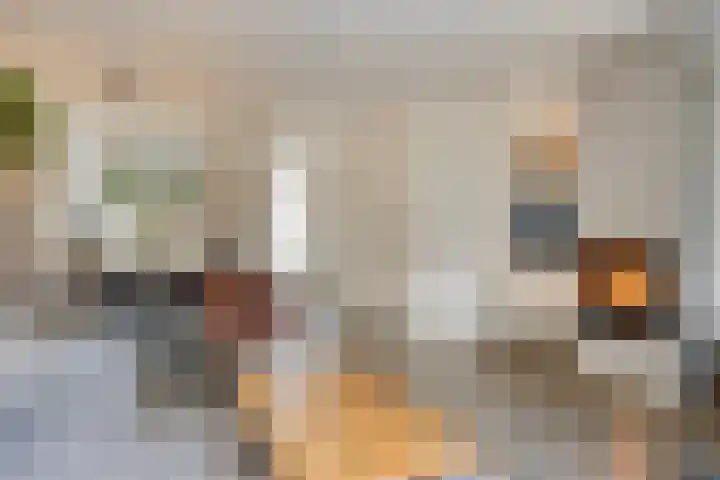 Hummelsweide 13 Eibergen thumbnail 12
