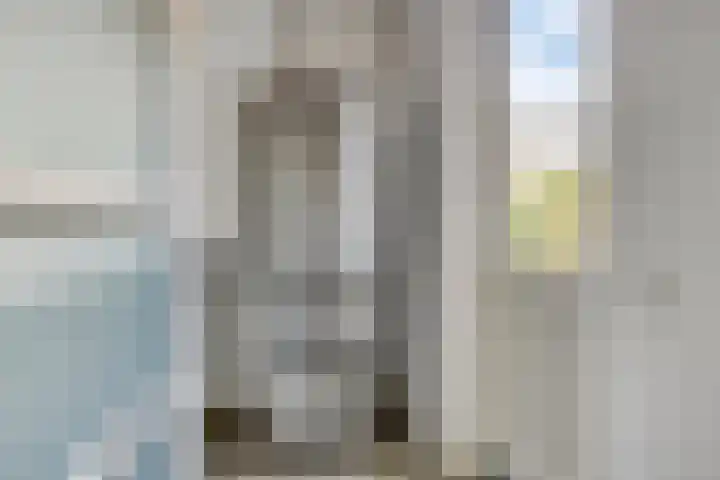 Hummelsweide 13 Eibergen thumbnail 19