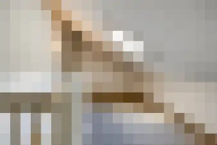 Hummelsweide 13 Eibergen thumbnail 32