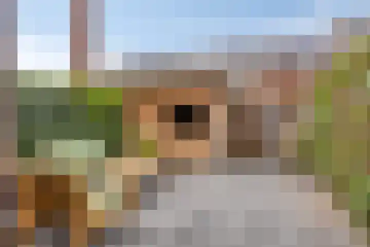 Hummelsweide 13 Eibergen thumbnail 34