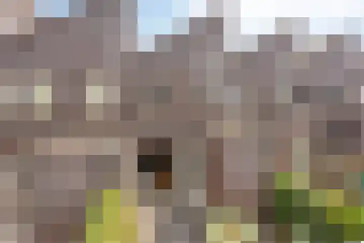Hummelsweide 13 Eibergen thumbnail 37