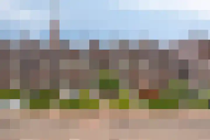 Hummelsweide 13 Eibergen thumbnail 39