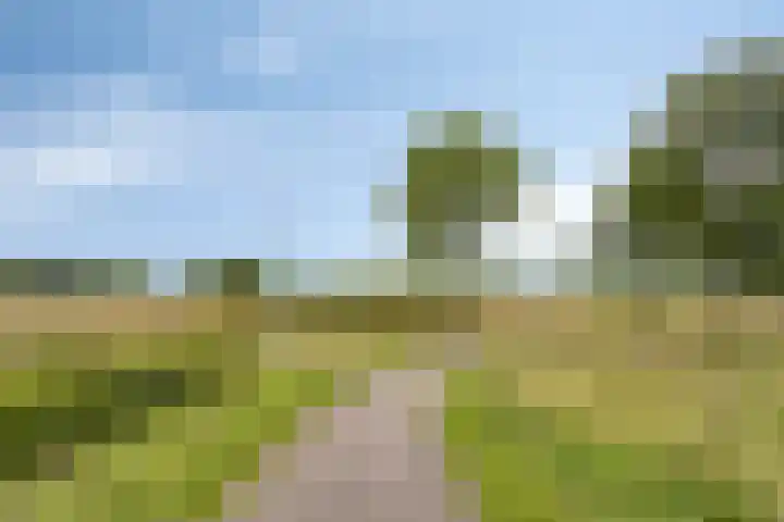 Hummelsweide 13 Eibergen thumbnail 42