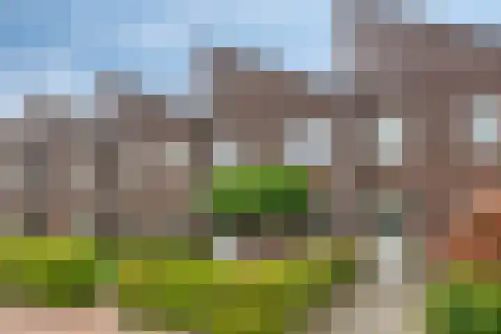 Hummelsweide 13 Eibergen thumbnail 7