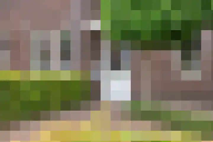 Hummelsweide 13 Eibergen thumbnail 8
