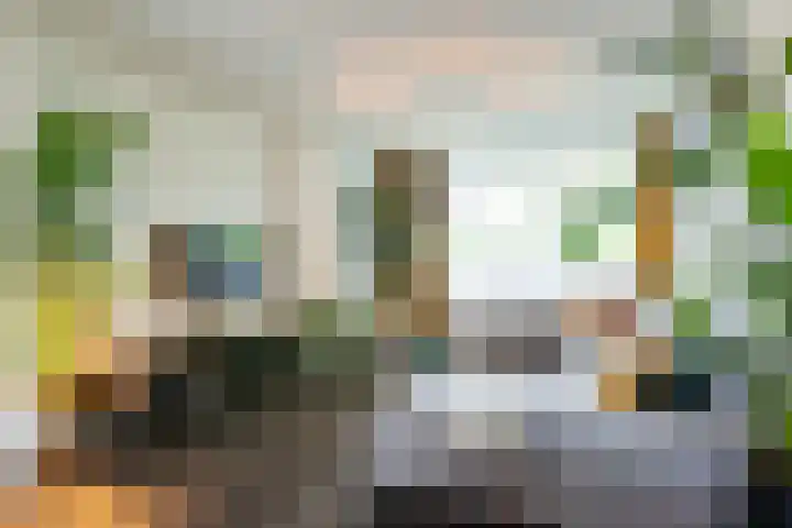 Humperdincklaan 3 Eindhoven thumbnail 10
