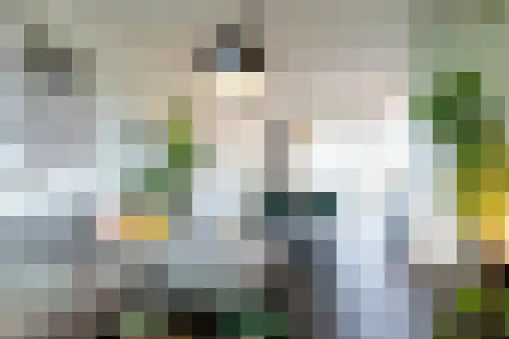 Humperdincklaan 3 Eindhoven thumbnail 11