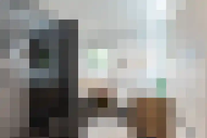 Humperdincklaan 3 Eindhoven thumbnail 29