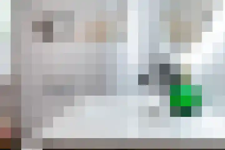 Humperdincklaan 3 Eindhoven thumbnail 30
