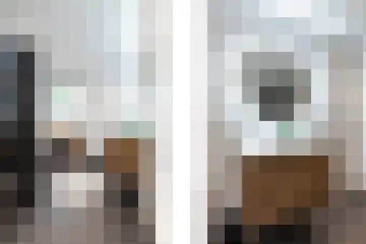 Humperdincklaan 3 Eindhoven thumbnail 31