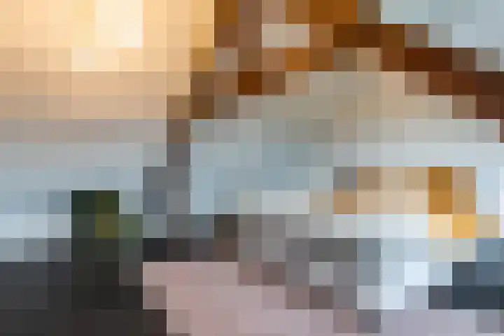 Humperdincklaan 3 Eindhoven thumbnail 36