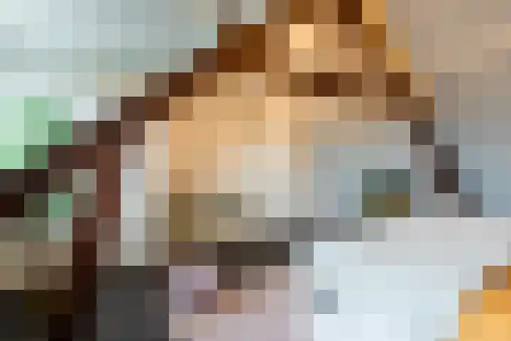 Humperdincklaan 3 Eindhoven thumbnail 37