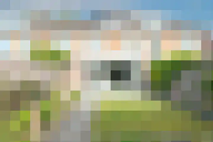 Humperdincklaan 3 Eindhoven thumbnail 38