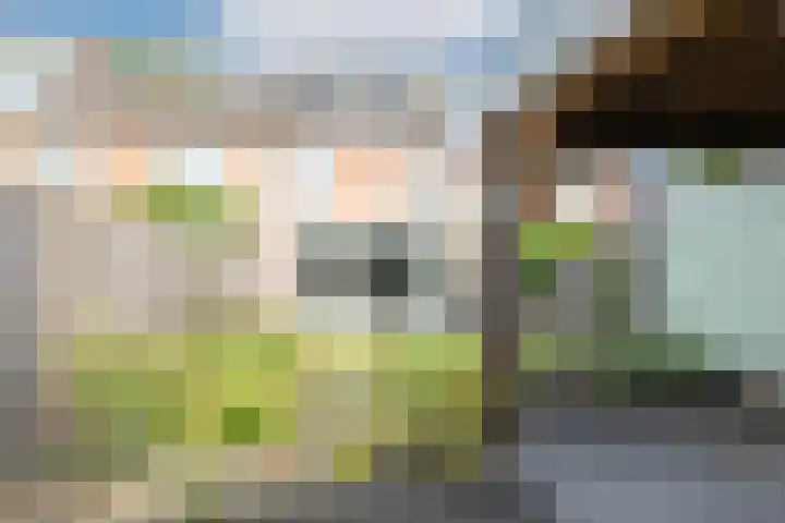 Humperdincklaan 3 Eindhoven thumbnail 42