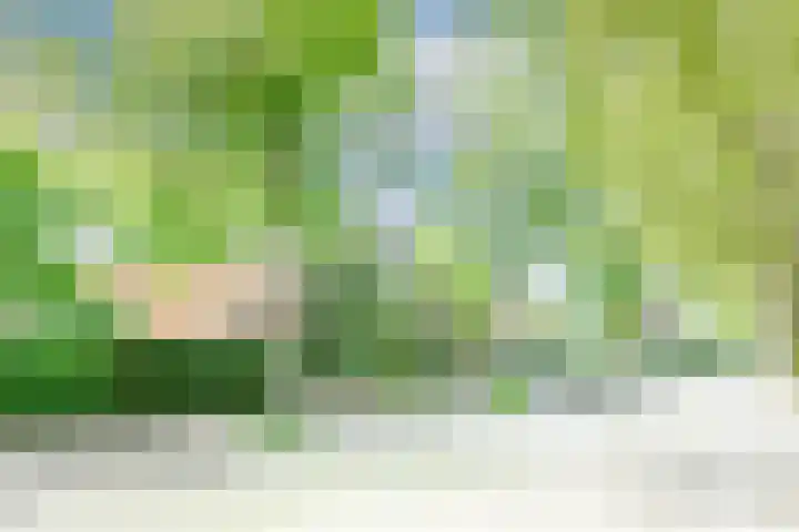Humperdincklaan 3 Eindhoven thumbnail 44