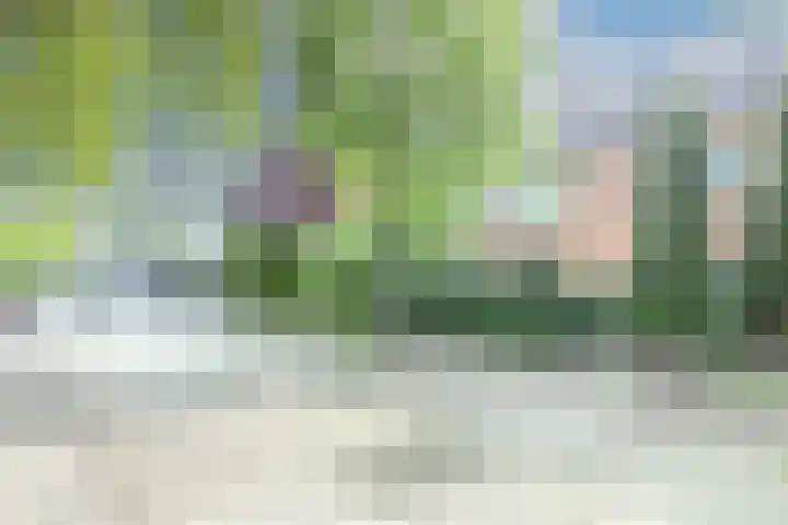 Humperdincklaan 3 Eindhoven thumbnail 45