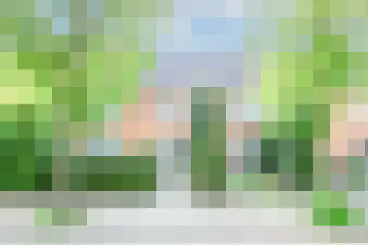 Humperdincklaan 3 Eindhoven thumbnail 51