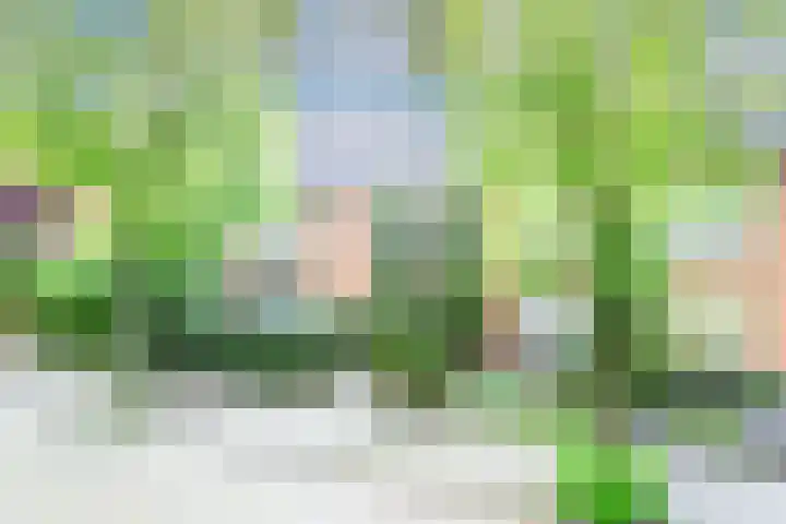 Humperdincklaan 3 Eindhoven thumbnail 6