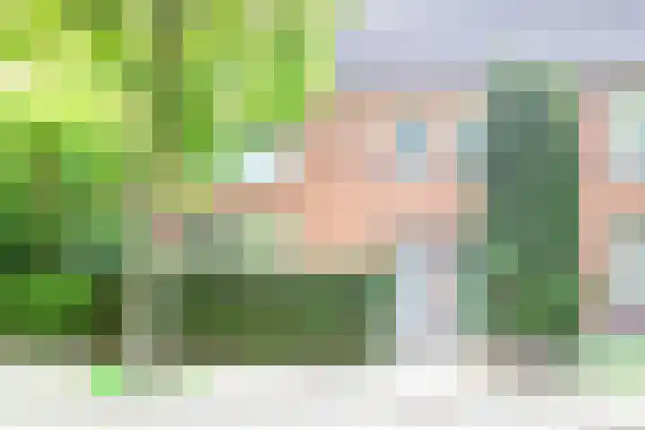 Humperdincklaan 3 Eindhoven thumbnail 7