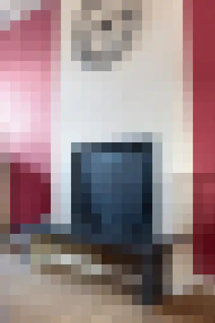 Humperdincklaan 33 Eindhoven thumbnail 23