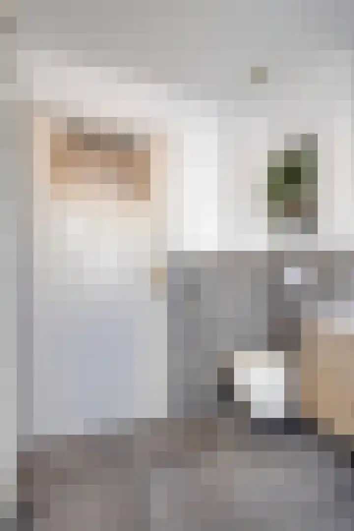 Humperdincklaan 33 Eindhoven thumbnail 30