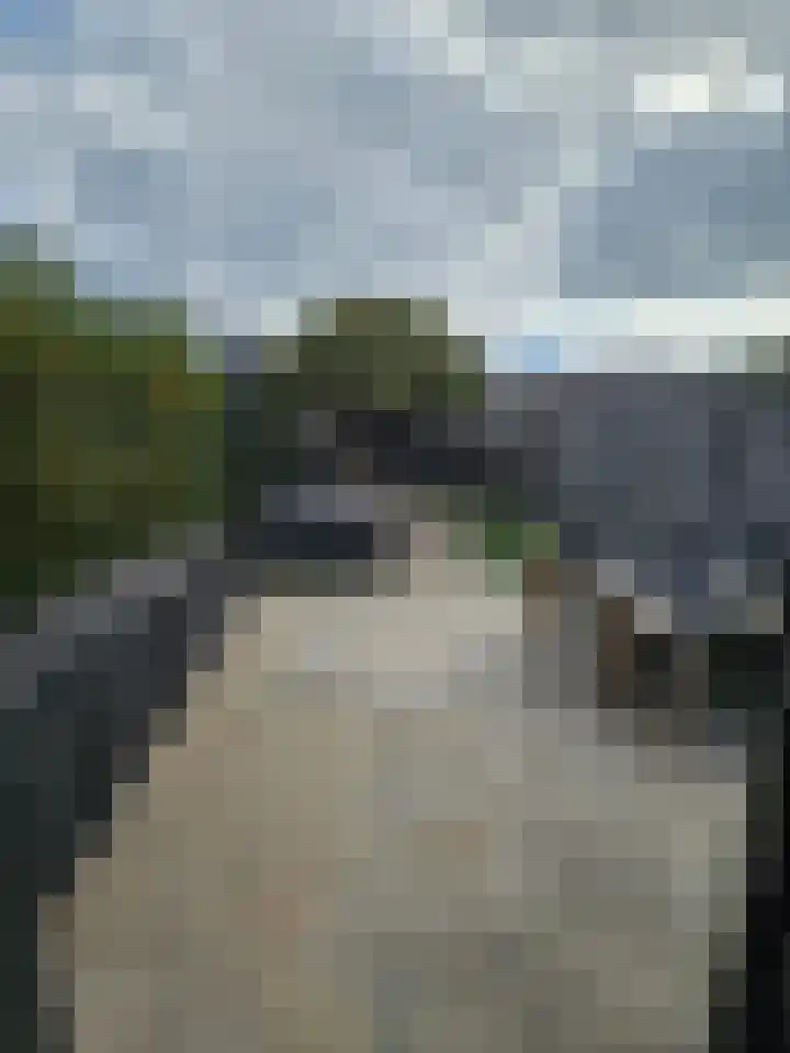 Humperdincklaan 33 Eindhoven thumbnail 46