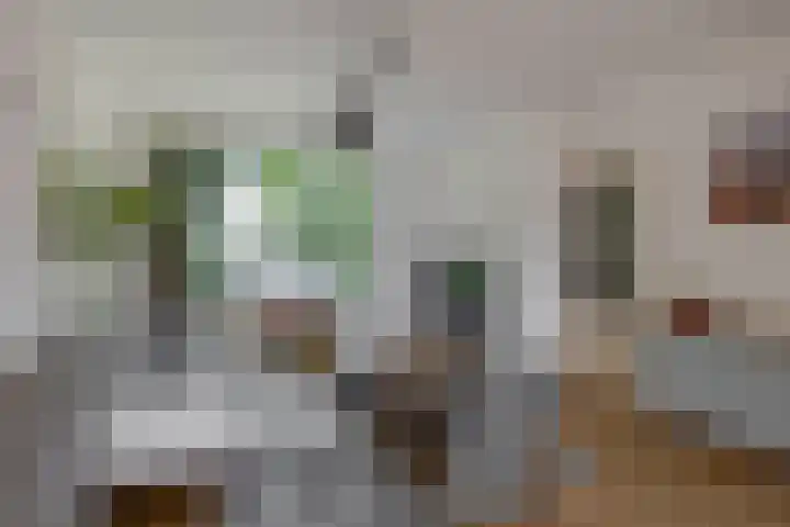 Humperdincklaan 5 Eindhoven thumbnail 10