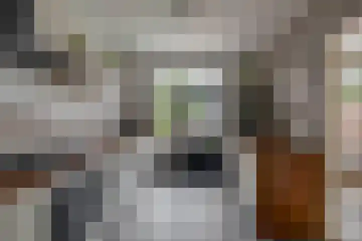 Humperdincklaan 5 Eindhoven thumbnail 15