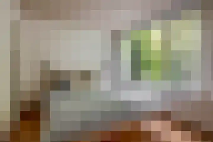 Humperdincklaan 5 Eindhoven thumbnail 19