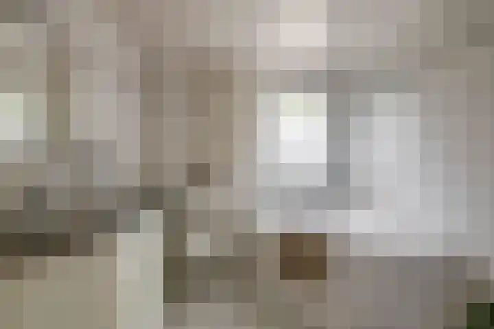 Humperdincklaan 5 Eindhoven thumbnail 23