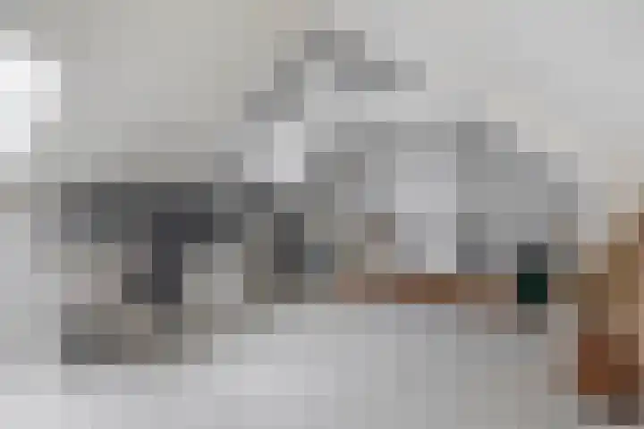 Humperdincklaan 5 Eindhoven thumbnail 26