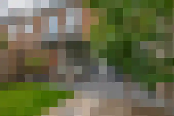 Humperdincklaan 5 Eindhoven thumbnail 28