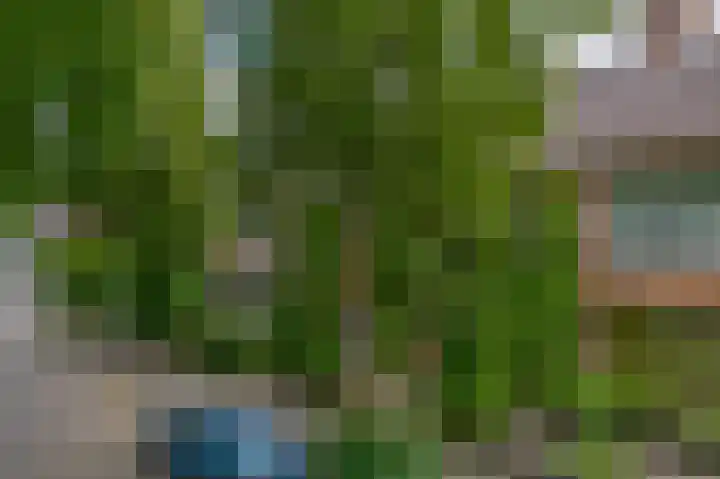 Humperdincklaan 5 Eindhoven thumbnail 6