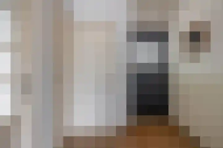 Humperdincklaan 5 Eindhoven thumbnail 7