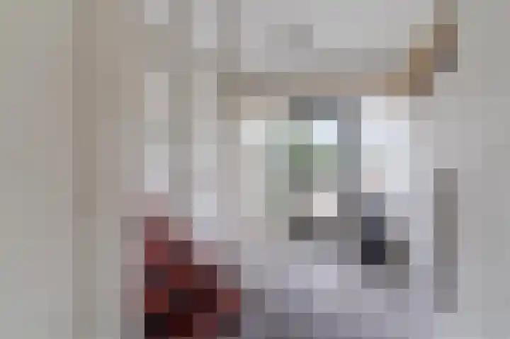 Humperdincklaan 51 Eindhoven thumbnail 10