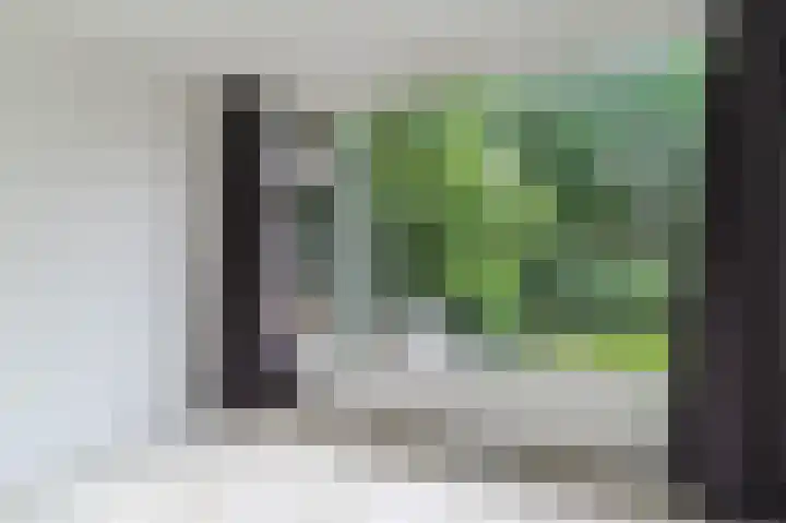 Humperdincklaan 51 Eindhoven thumbnail 25