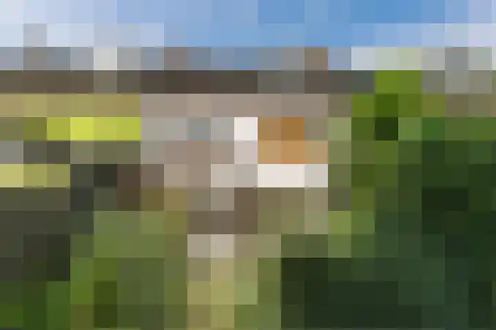 Humperdincklaan 51 Eindhoven thumbnail 29