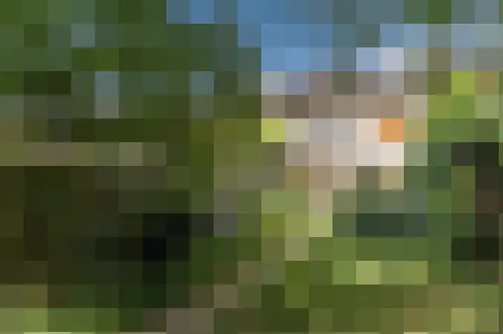 Humperdincklaan 51 Eindhoven thumbnail 30