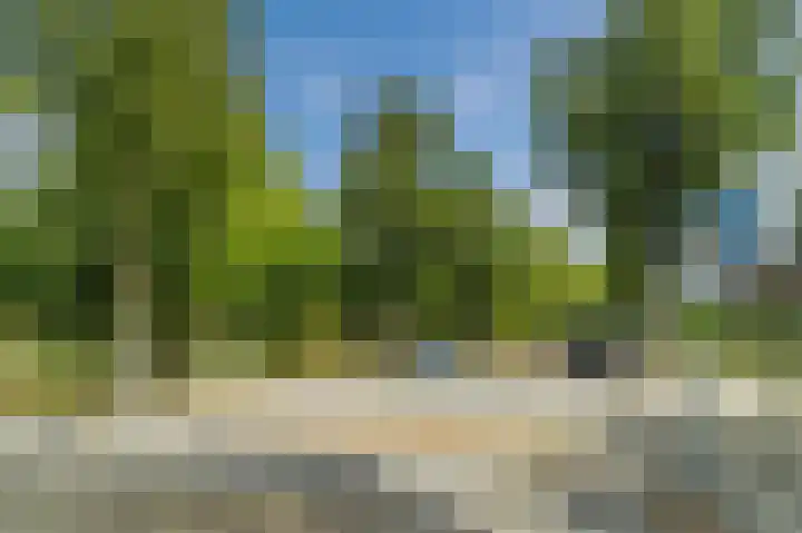 Humperdincklaan 51 Eindhoven thumbnail 34