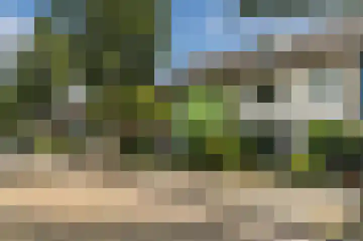 Humperdincklaan 51 Eindhoven thumbnail 6