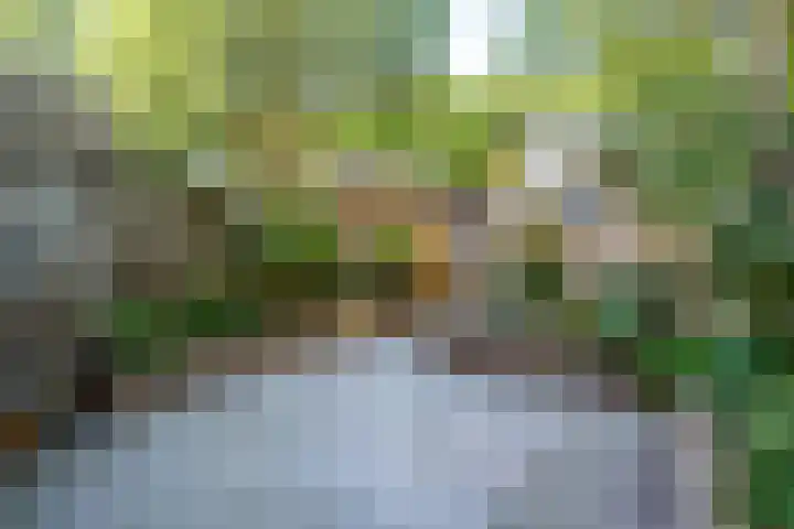 Humperdinckstraat 83 Tilburg thumbnail 25