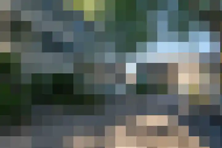 Humperdinckstraat 83 Tilburg thumbnail 30