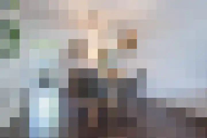 Humperdinckstraat 83 Tilburg thumbnail 4