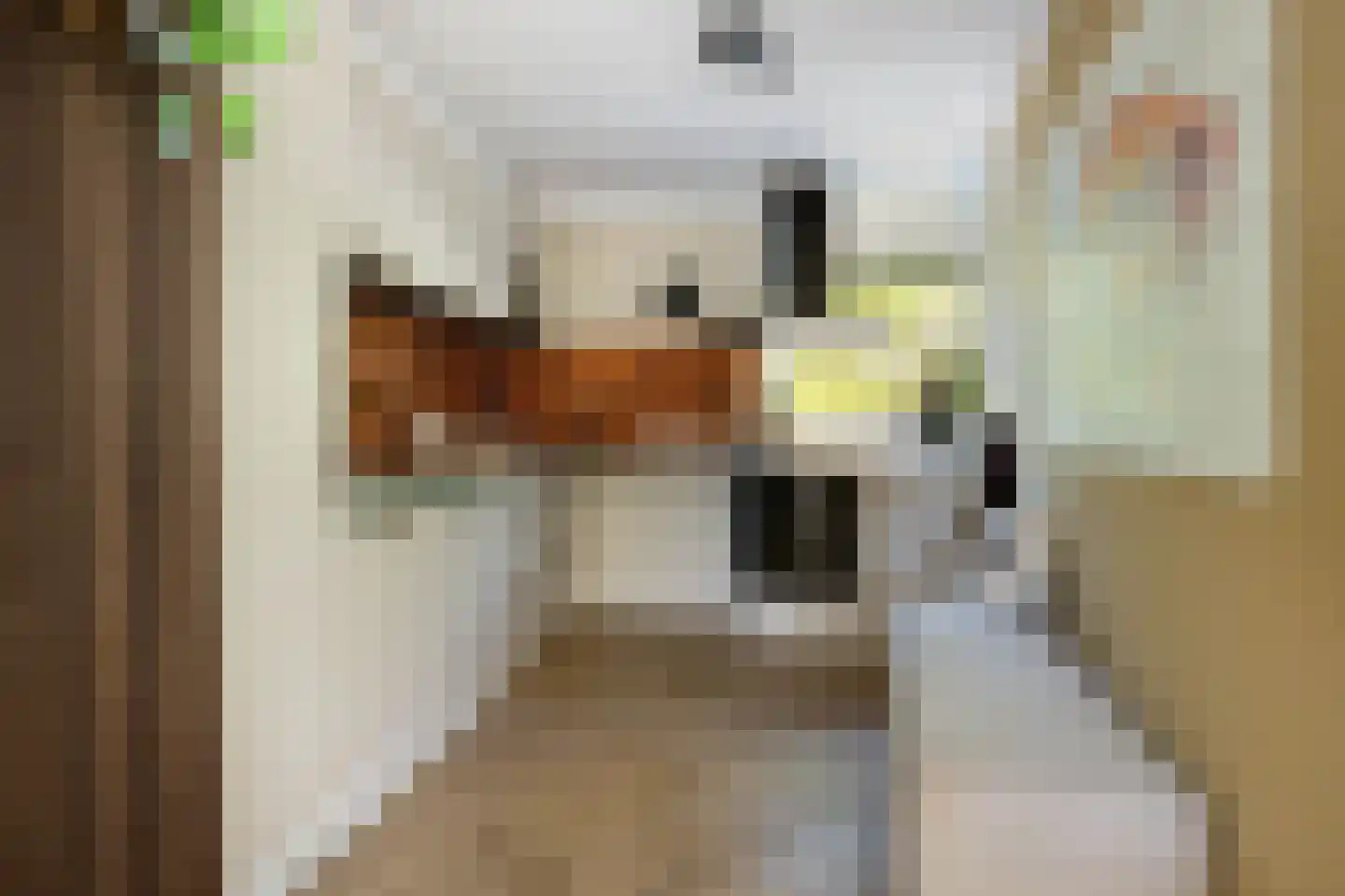 Humsterlandlaan 11 Groningen thumbnail 20
